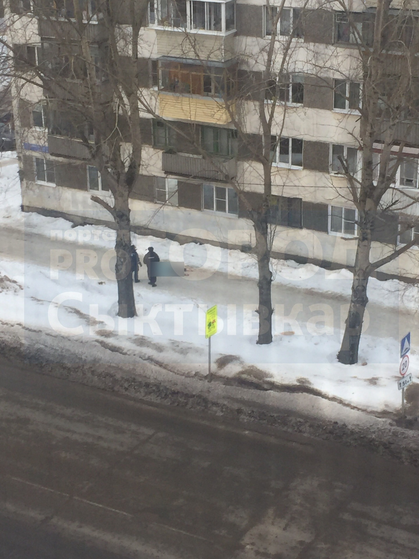 В Сыктывкаре из окна многоэтажки выпала женщина (фото 16+)