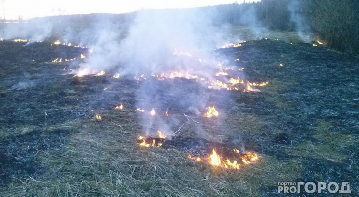 В Коми на борьбу с лесными пожарами выделят больше 200 миллионов рублей