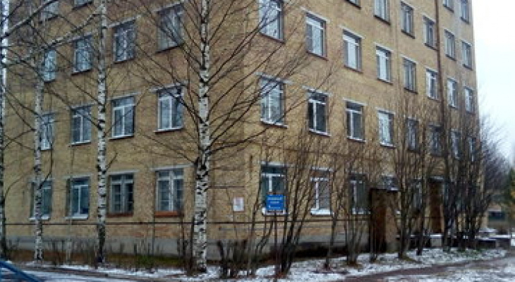 Прокуратура выявила нарушения в сыктывкарской психбольнице после побега пациентов