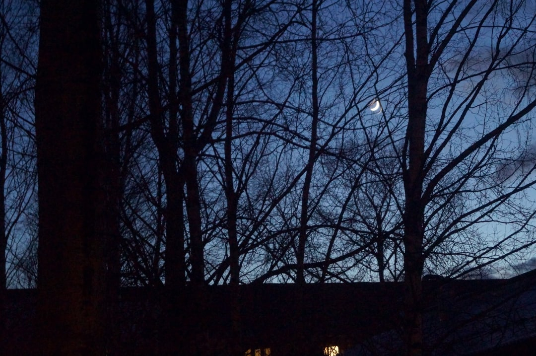 Фото дня в Сыктывкаре: темное небо и скромный месяц