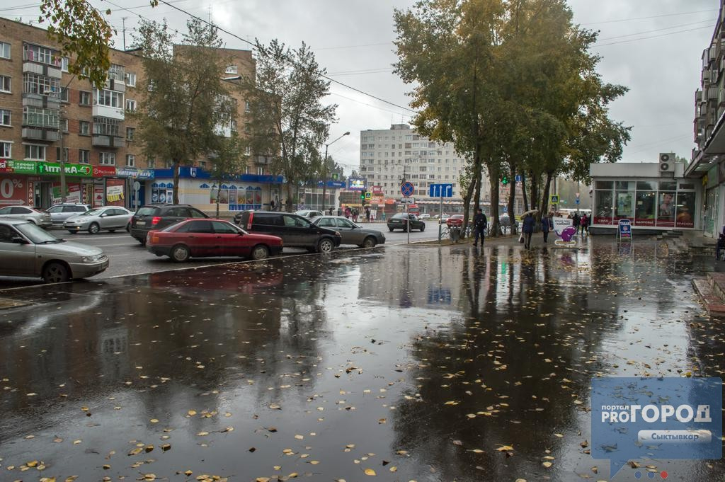 Погода в Сыктывкаре на 19 июля: северный ветер и дождь
