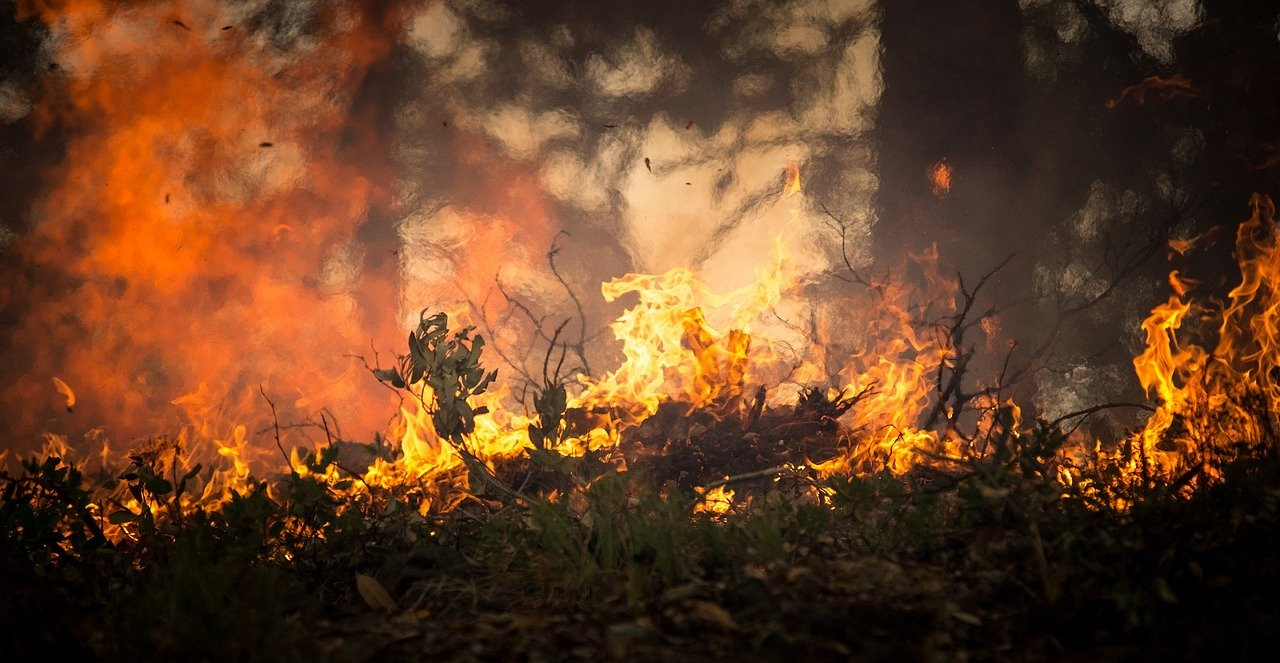 В Коми объявили высочайший класс пожарной опасности