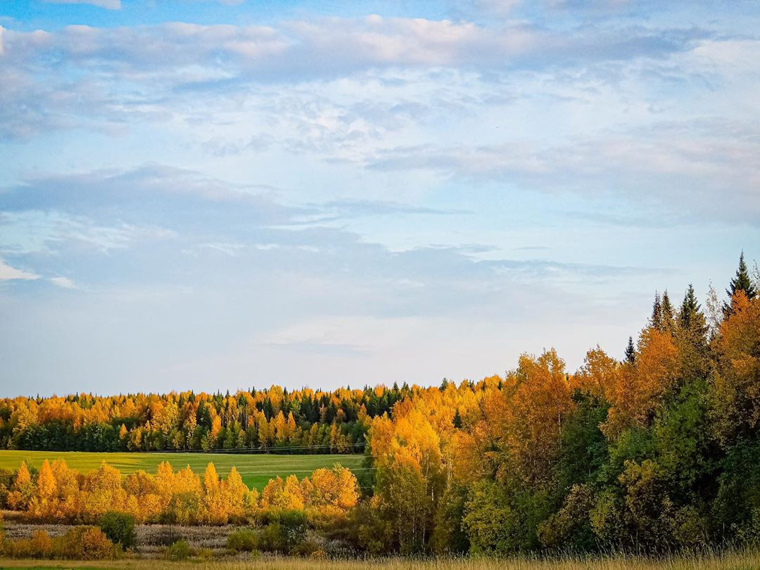 Фото дня в Сыктывкаре: завораживающее великолепие золотой осени