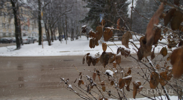 Погода в Сыктывкаре на 20 октября: мокрый снег и немного солнечного света