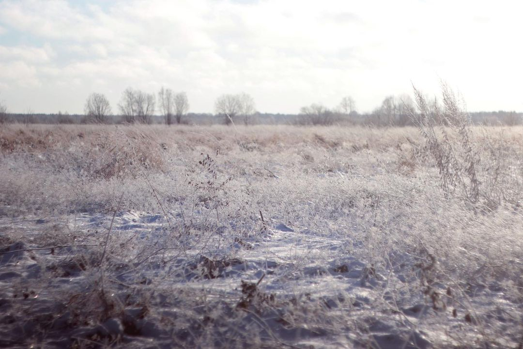 Фото дня в Сыктывкаре: снежный сон среди замерзших полей