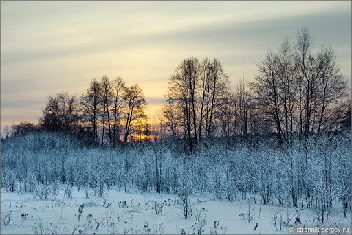 Погода в Сыктывкаре на 5 декабря: холода продолжают наступать