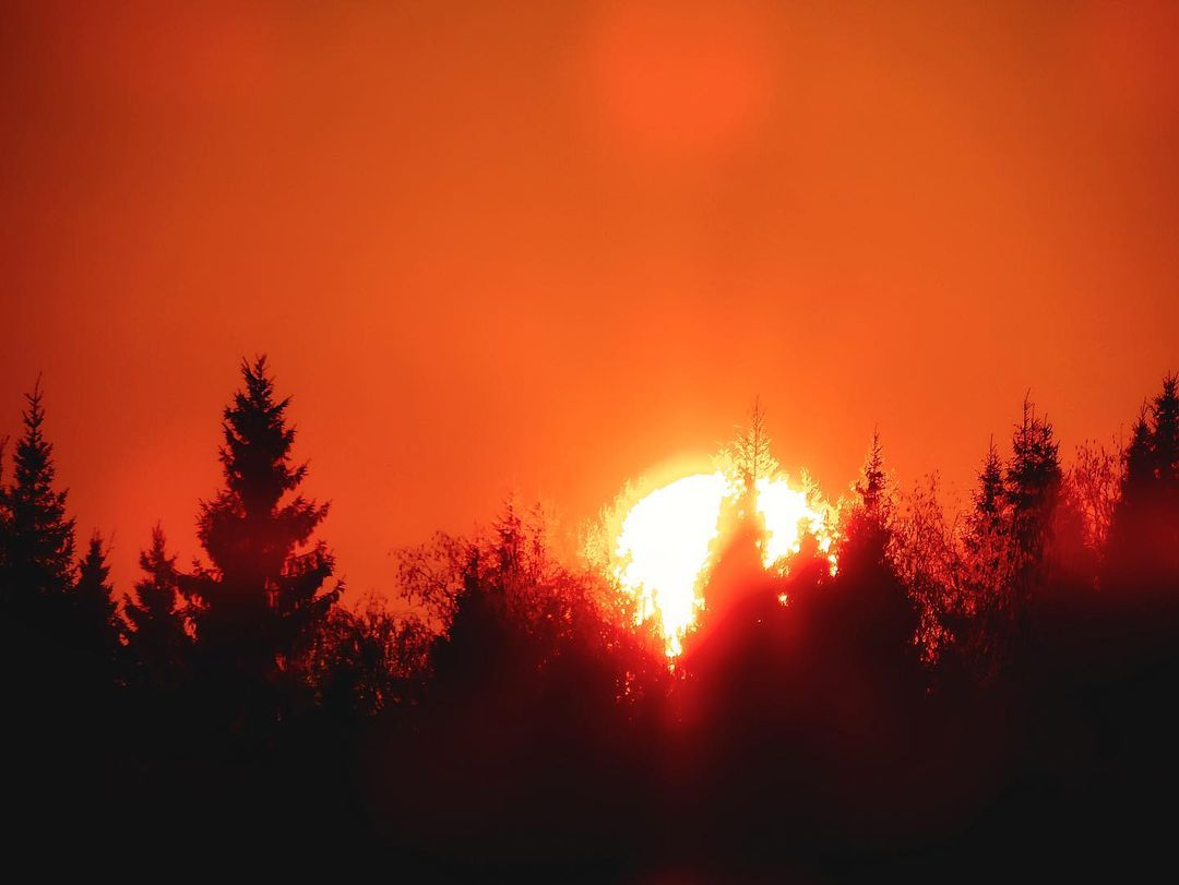 Фото дня от сыктывкарца: пламенный диск солнца тонет в море лесов