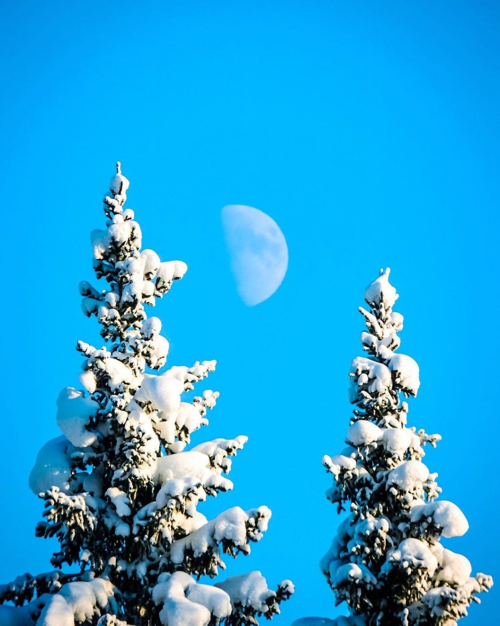 Фото дня в Сыктывкаре: зимняя луна