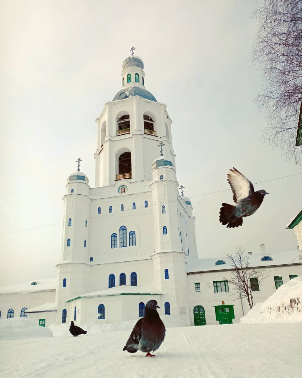 Фото дня от сыктывкарки: Троице-Стефано-Ульяновский монастырь и голуби