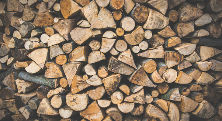 2,2 миллиона «деревянных»: предпринимательница из Коми нажилась на дровах для сельчан
