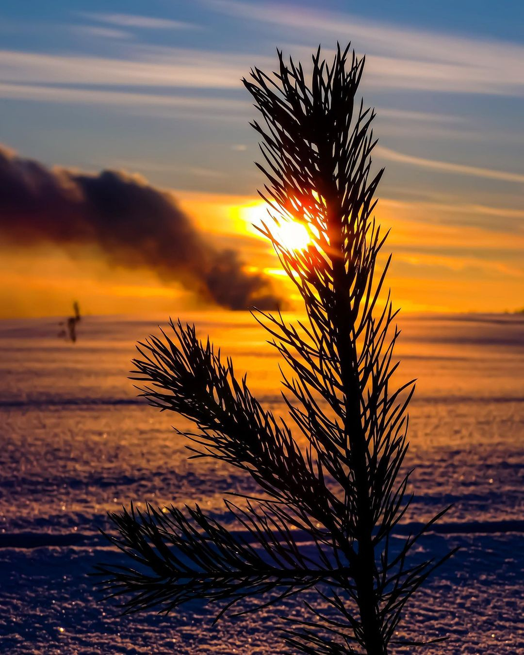 Фото дня в Сыктывкаре: чудесный зимний закат
