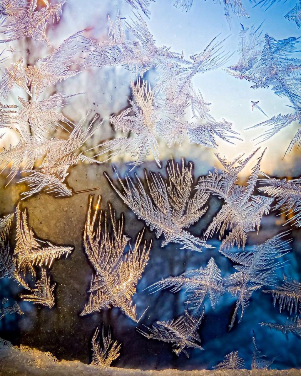 Фото дня в Сыктывкаре: морозные узоры