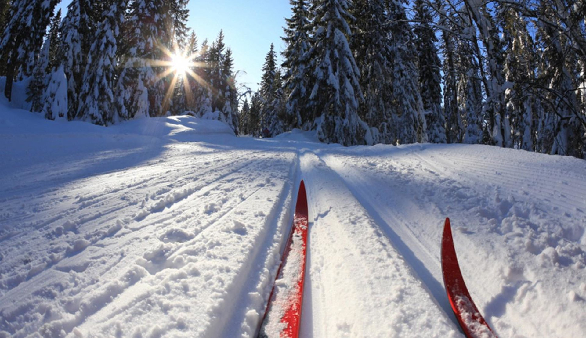 В Коми пройдет финал Кубка России по лыжным гонкам