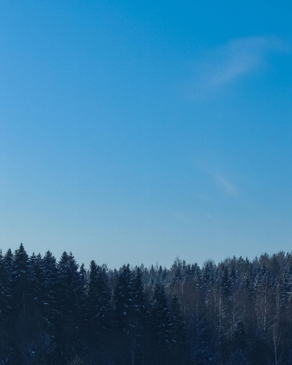 Фото дня: чистое морозное небо над Сыктывкаром
