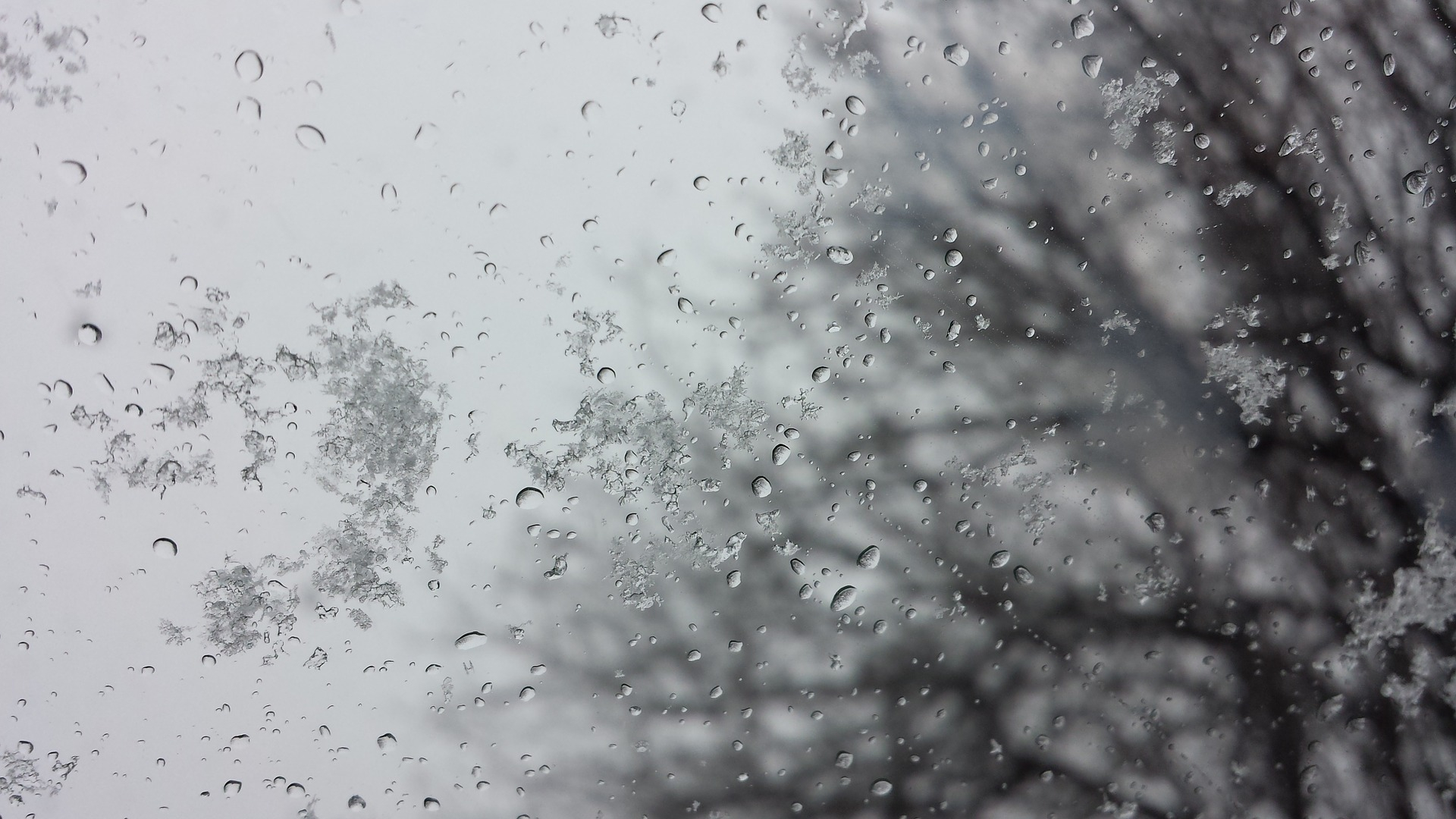 Погода в Сыктывкаре на 2 марта: снег и юго-западный ветер