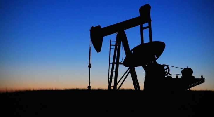 Право на нефтяную разведку в Коми получила компания с персоналом в одного человека