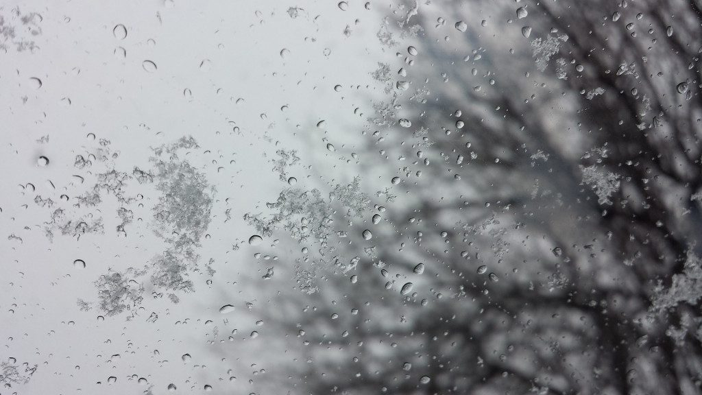 Погода в Сыктывкаре на 29 апреля: снег, дождь и ветер