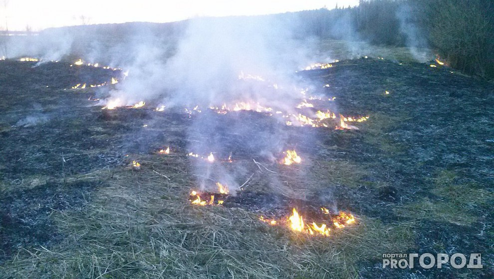 На юге Коми объявили чрезвычайно высокую пожароопасность