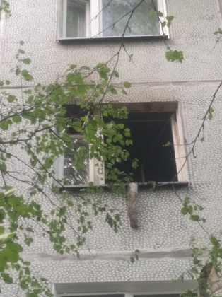 Спасся только кот: в Сыктывкаре на пожаре в многоэтажке умер человек