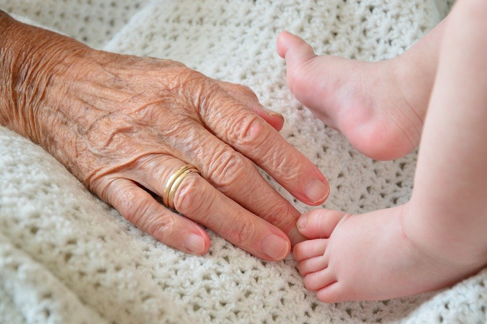 Бабушки в законе: старшие родственники получат юридические права растить внуков