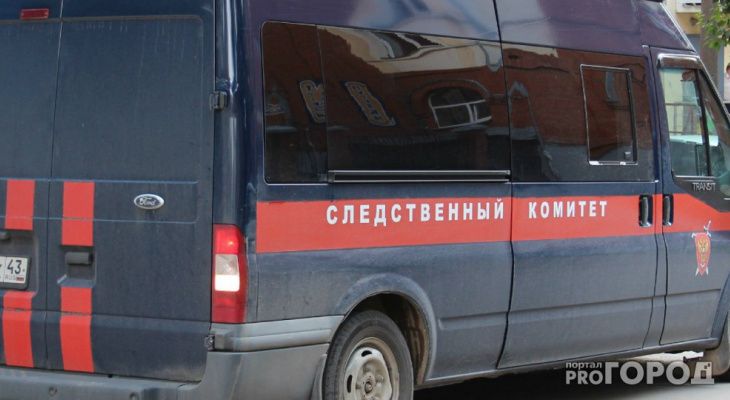 В Сыктывкаре завели уголовное дело на специалиста отдела снабжения птицефабрики «Зеленецкая»