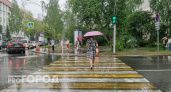 В Коми нагрянут грозы: в МЧС объявили штормовое предупреждение