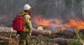 В Ижемском районе Коми случился лесной пожар