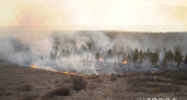 В Коми с начала пожароопасного сезона случилось 38 лесных возгораний