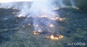 В одном из районов Коми вспыхнул лесной пожар