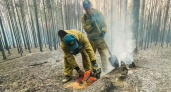 Лесные пожары в Коми будут тушить карельские летчики