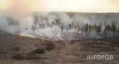 Республика в огне: за неделю в Коми произошло 44 лесных пожара