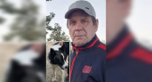 В Коми пропал голубоглазый пенсионер с собакой