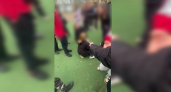 "Надо найти виновных": сыктывкарцы об избиении школьницы, которое попало на видео