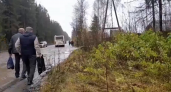 Сыктывкарцы вынуждены ходить по опасной дороге и уже год добиваются ремонта трассы