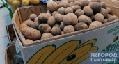 В Коми собрали более пяти тысяч тонн картофеля