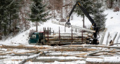 Жители района Коми остались без обещанных дров и могут замерзнуть