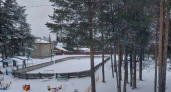 В одной из деревень Коми хотят обустроить хоккейную площадку