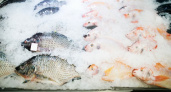 Смертельно опасное содержание ртути: эта рыба гробит печень, мозг и сердце
