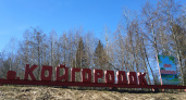 Более 350 семей села Койгородок получили доступ к современным цифровым сервисам от "Ростелеком"