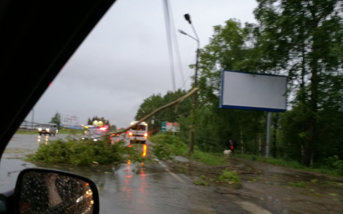 В Сыктывкаре ураганный ветер обесточил оживленный перекресток (фото)
