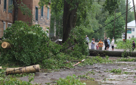 Итоги стихии: 5 разрушительных последствий урагана в Сыктывкаре