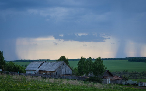 Погода в Сыктывкаре на 15 июля: летний зной разбавит гроза