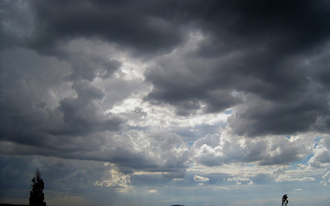 Погода в Сыктывкаре 21 августа: пасмурная погода продержится весь день, но воздух будет теплым