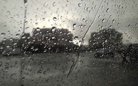 Погода в Сыктывкаре 22 августа: температура упадет, а после полудня пойдет дождь