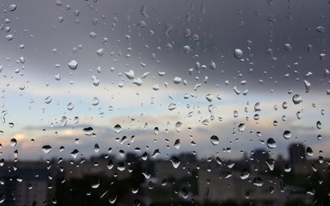Погода в Сыктывкаре 23 августа: весь день будет дождливо и холодно