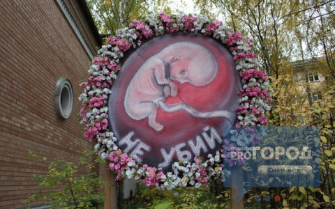 В Сыктывкаре установили щит с человеческим эмбрионом и цветами (фото)
