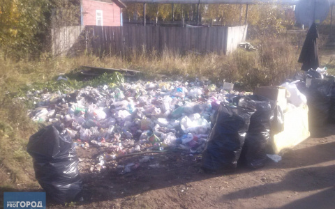 В Сыктывкаре целый поселок утопает в мусоре по вине управляющей компании (фото)