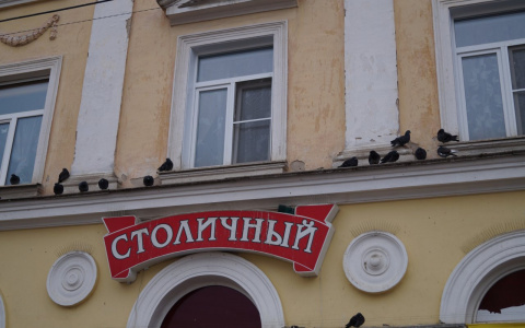 Блогер собрал деньги на реставрацию вывесок сыктывкарского магазина к его закрытию