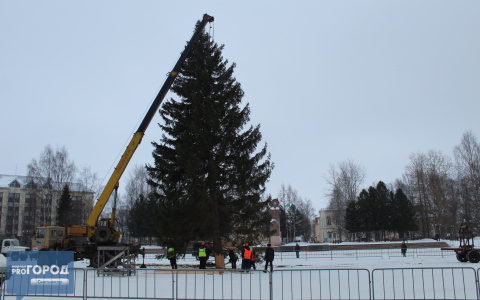 На главную площадь Сыктывкара привезли новогоднюю елку (фото)
