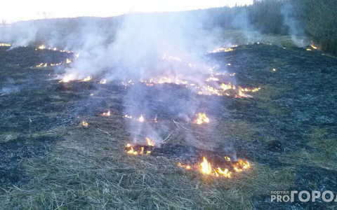 Лесные пожары: специалисты рассказали, как жителям Коми потушить огонь и не умереть